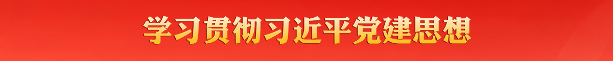 学习贯彻习近平党建思想