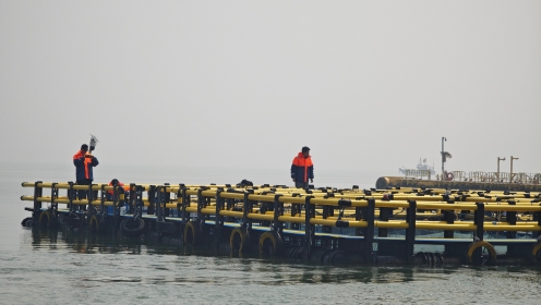 党建引领促生产 技术服务暖渔区——市农业农村局第四党支部党员先锋助力春季海上网箱养殖生产